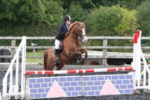 Class 6 - Fences not above 2'9